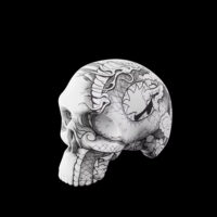 Silicone Skull Tattoo Practice Skin with Intricate Tattoo Design - Realistic Training Model